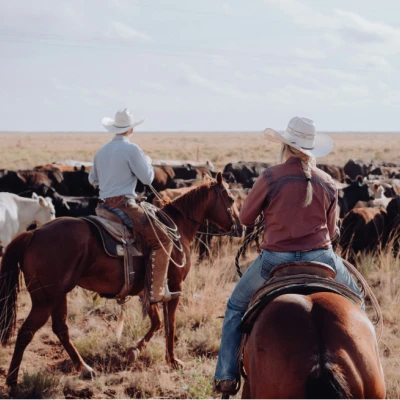 Western